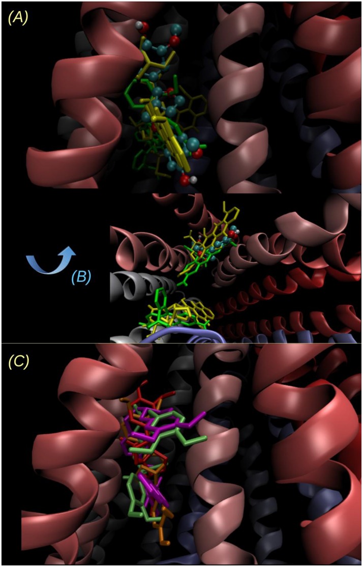 Figure 12