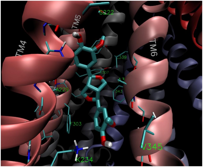 Figure 11