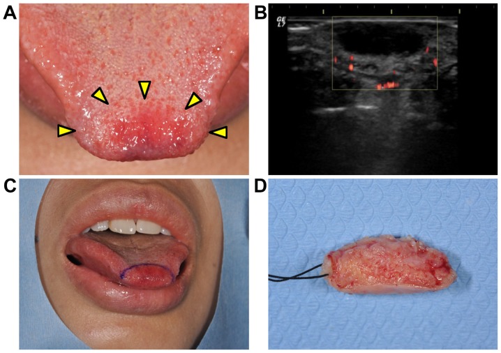 Figure 1.