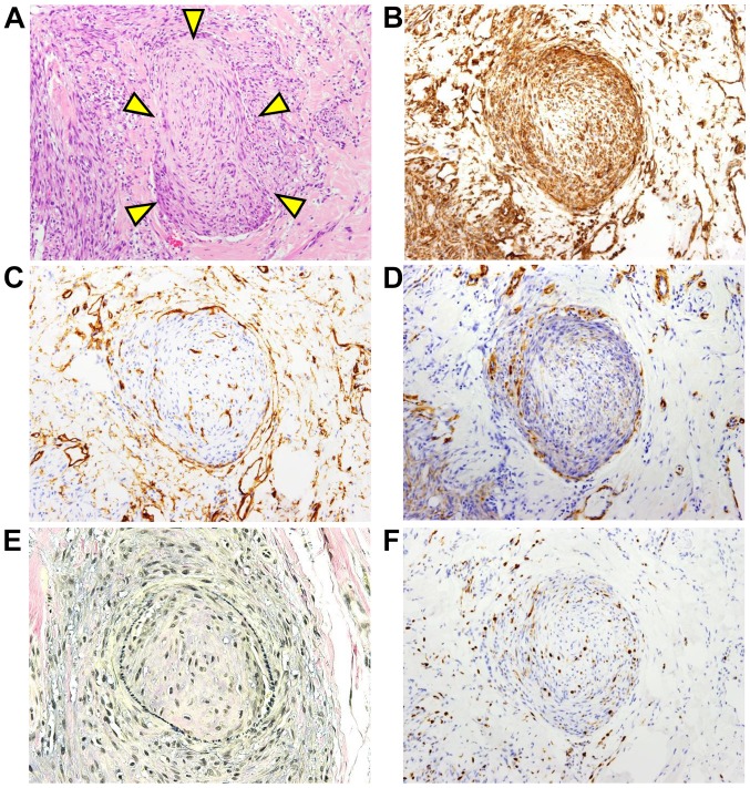 Figure 3.