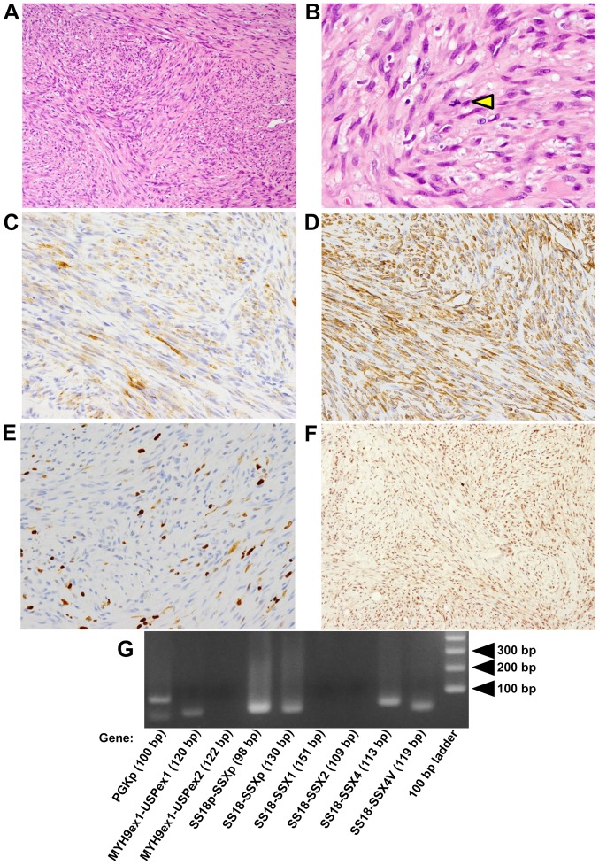 Figure 2.