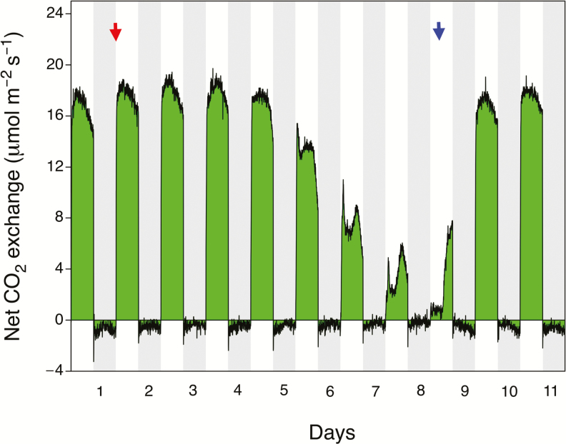 Fig. 7.