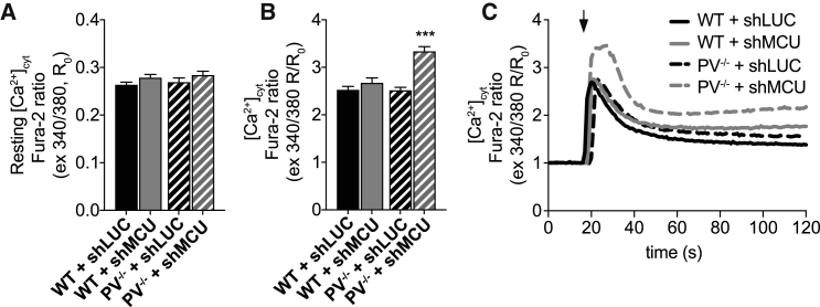 Figure 6