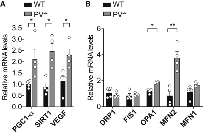 Figure 5