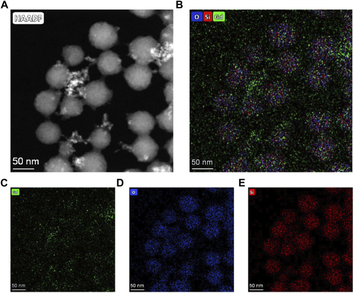 FIGURE 3