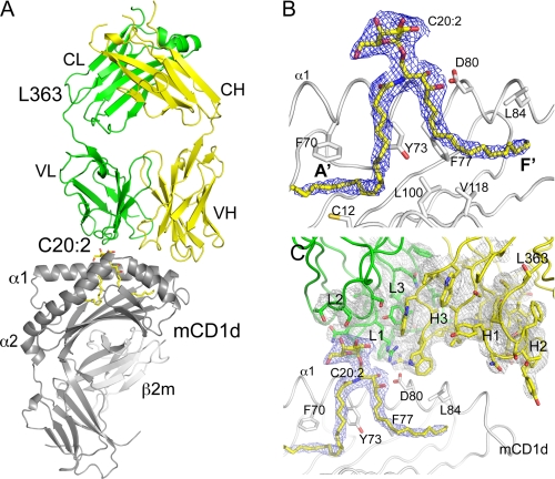 FIGURE 2.