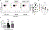 Figure 46