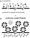 Figure 23