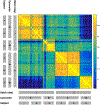 Figure 37