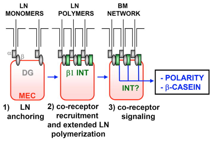 Fig. 11