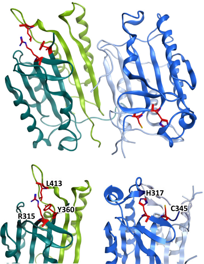 Fig. 2