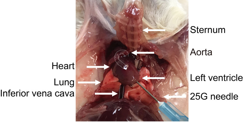 Figure 2.