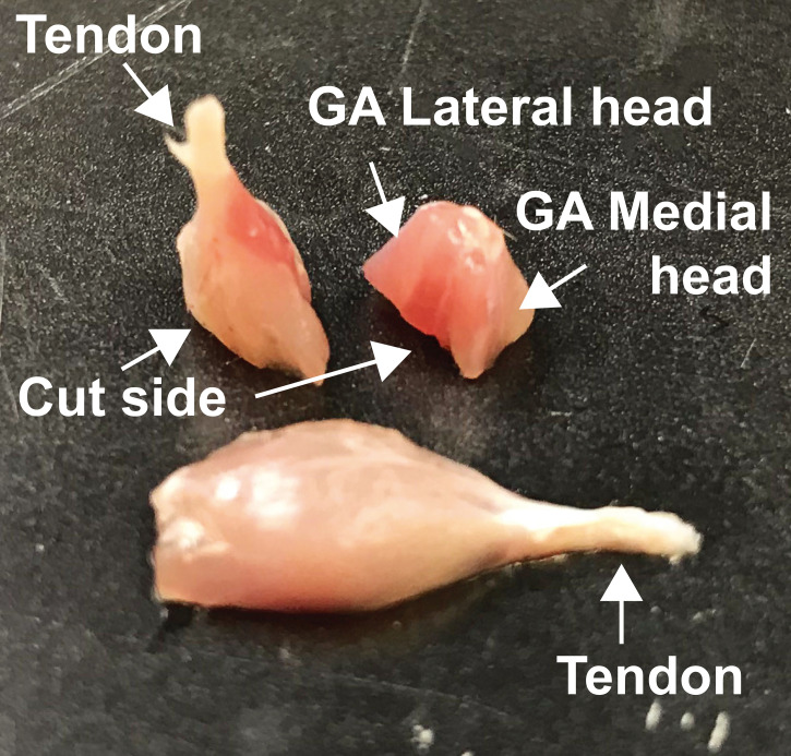 Figure 3.