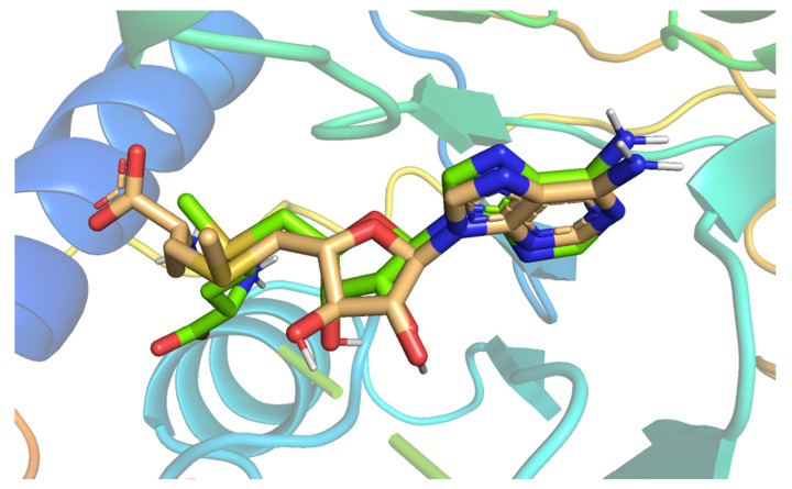 Figure 4