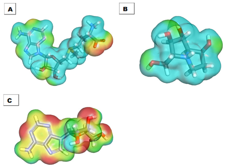 Figure 13