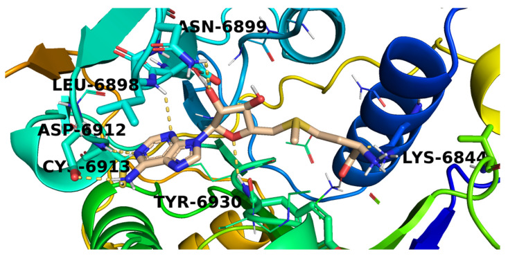 Figure 5