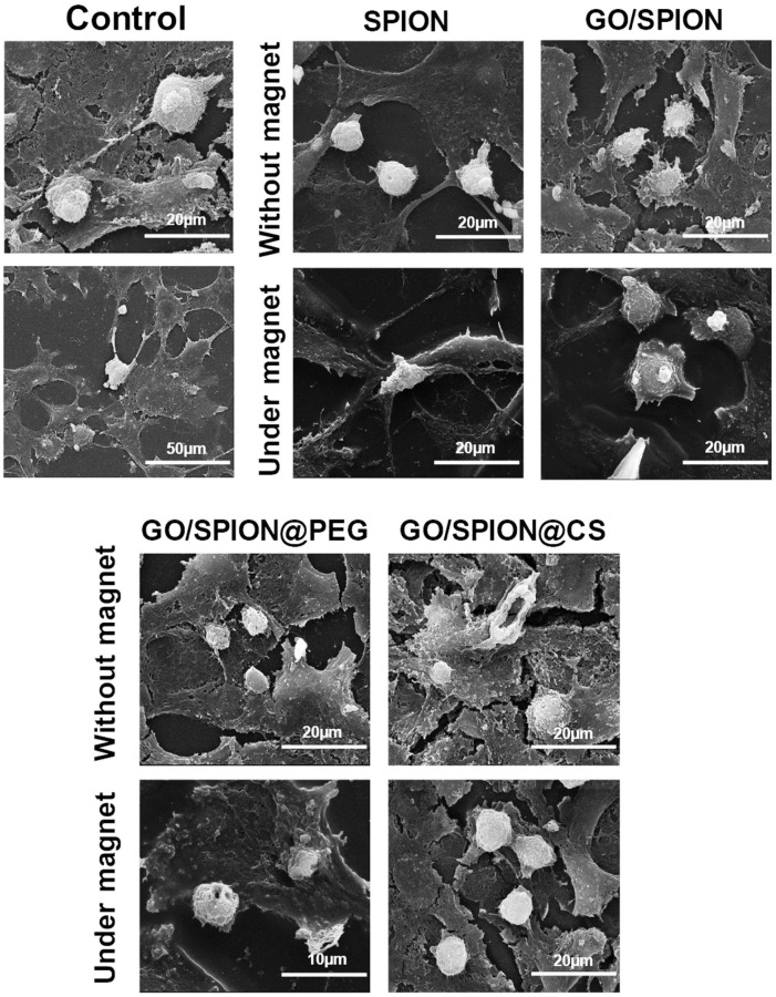 Figure 17