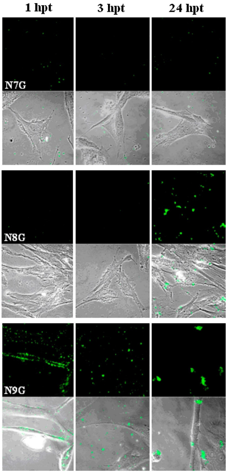 Figure 14