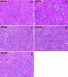 Fig. 12