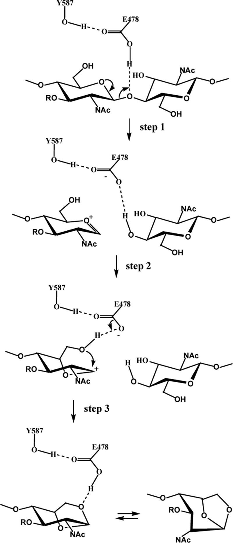 Fig. 4.