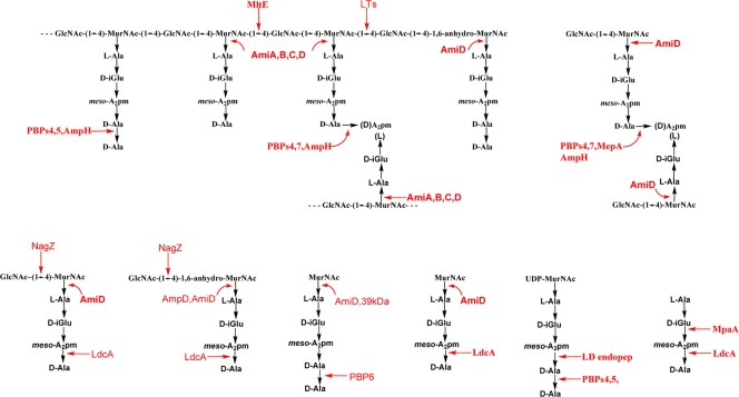 Fig. 2.