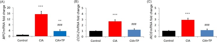 Figure 3.