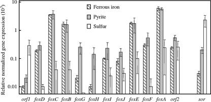 FIG. 3.