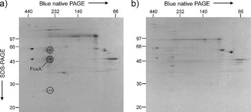 FIG. 5.