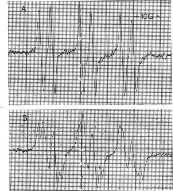 graphic file with name pnas00339-0480-a.jpg