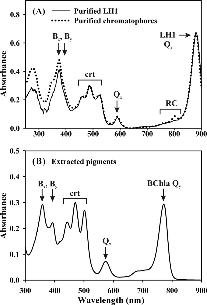 Fig 5