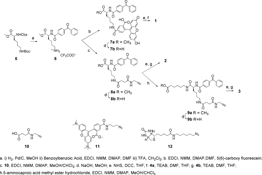 Scheme 2