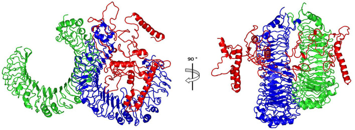 Figure 5