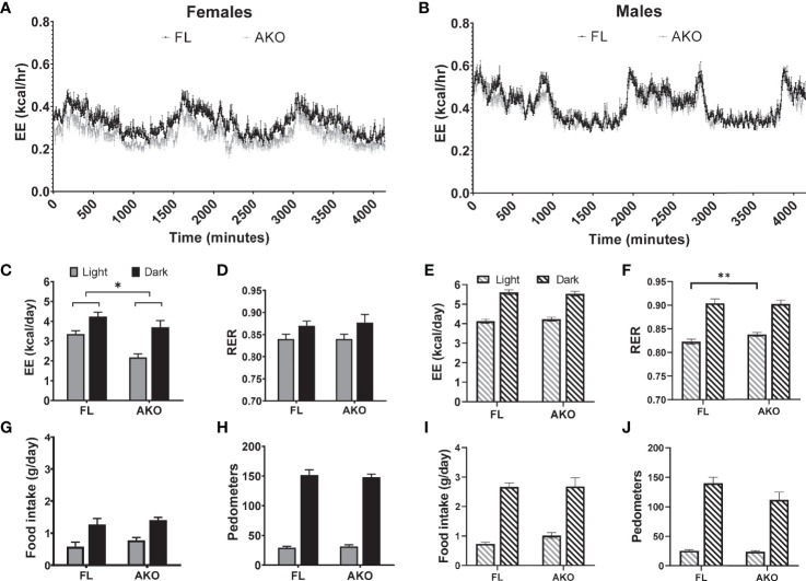 Figure 6