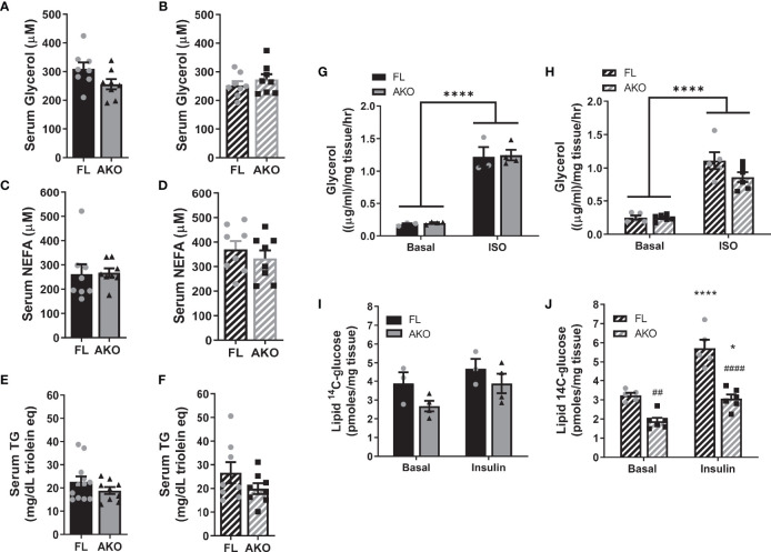 Figure 5