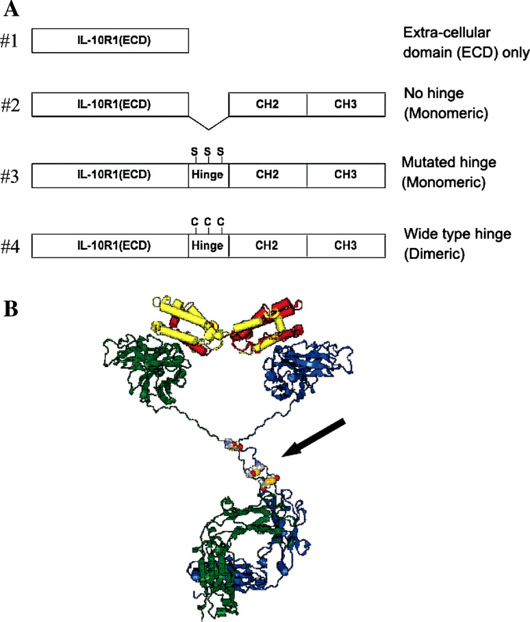 Fig. 1