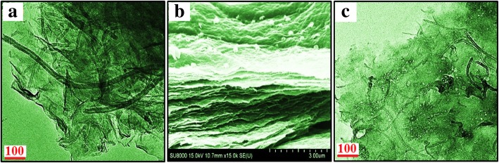 Fig. 11