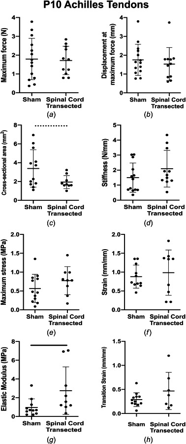 AT mechanical properties. (a) Maximum force, (b) displacement at maximum force, (c) cross-sectional area, (d) stiffness, (e) maximum stress, (f) strain at maximum stress, (g) elastic modulus, and (h) transition strain for sham and spinal cord transected conditions. ATs from spinal cord transected rats had significantly higher linear region elastic modulus and cross-sectional area trended lower, compared to sham controls. Solid lines denote significant differences between groups and dashed lines denote trends. Bars represent mean±standard deviation.