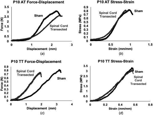 Representative force–displacement and stress–strain curves. (a) and (c) Representative force–displacement and (b) and (d) stress–strain curves for ATs and TTs from sham and spinal cord transected P10 rats.