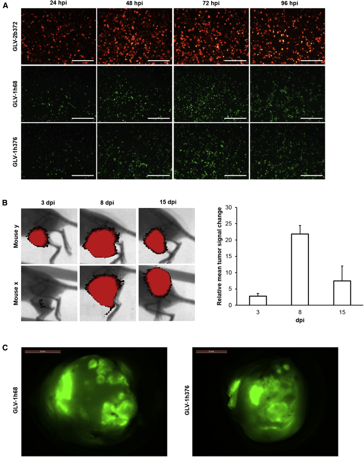 Figure 3