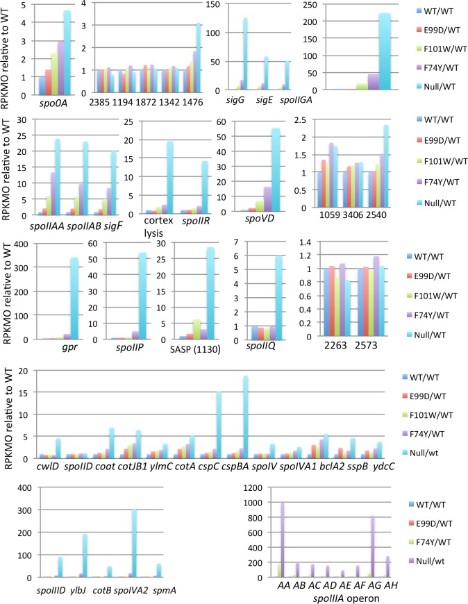 Fig 13