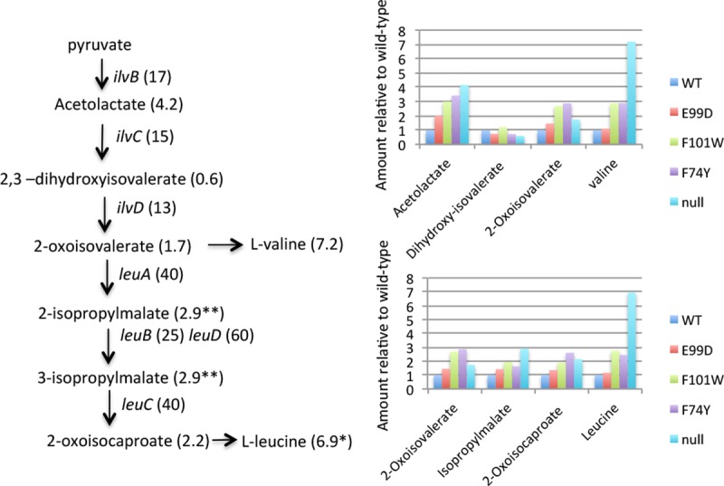 Fig 10