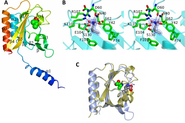 Fig 5