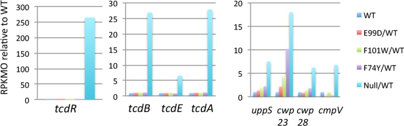 Fig 11