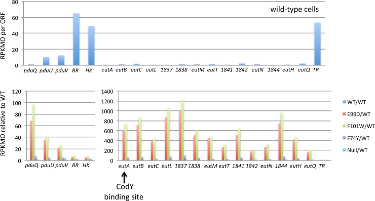 Fig 12