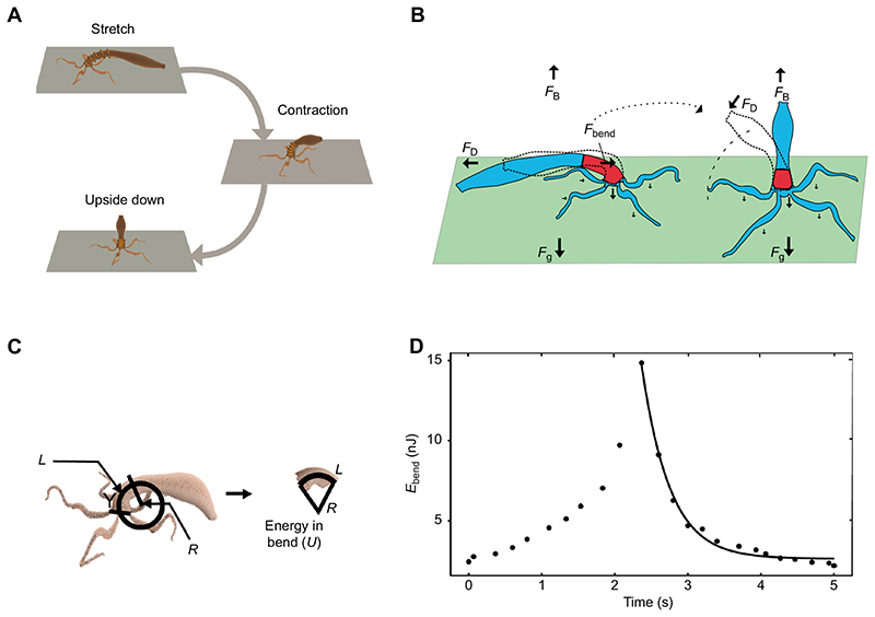 Fig. 3