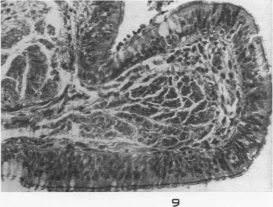 Fig. 9