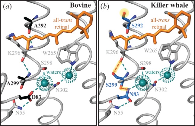 Figure 4.