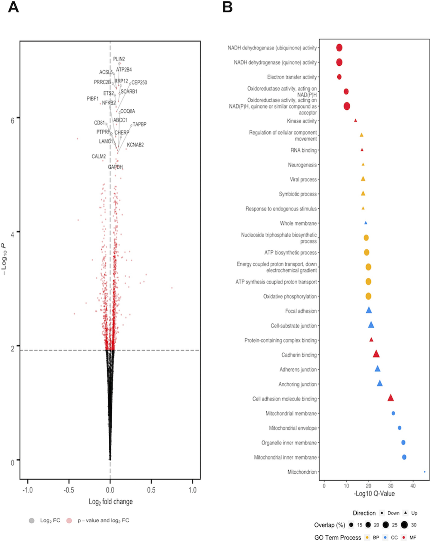 Figure 1: