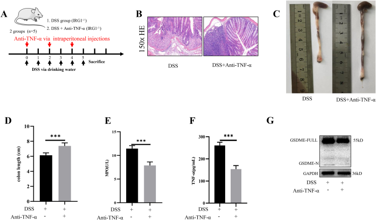 Fig. 6