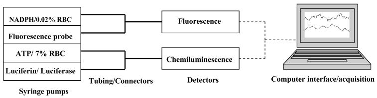 Fig. 2